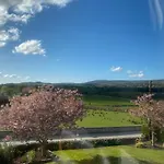 Sleadrin View